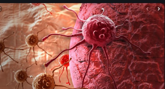 კ ი ბ ოს ინდუსტრია არ ეძებს მკურნალობის ზუსტ მეთოდს 